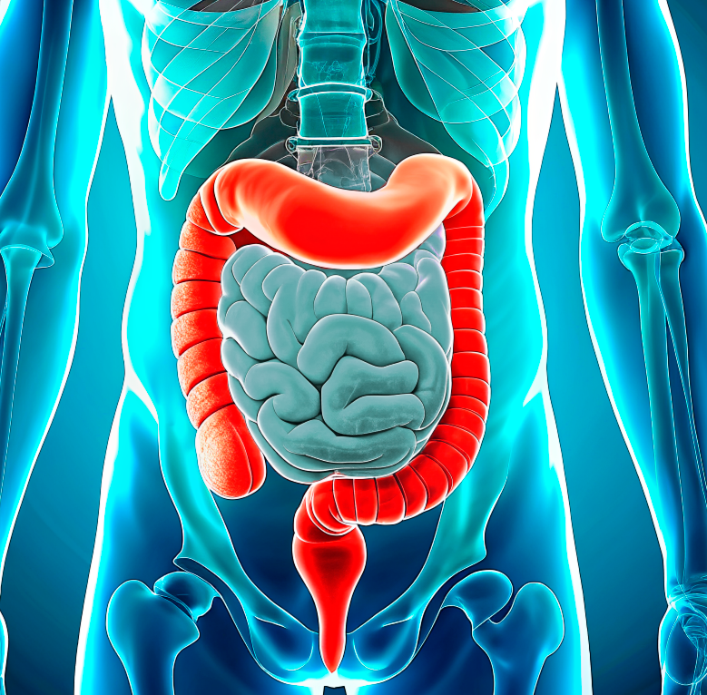 <span style="font-weight: bold;">Колоноскопия</span>