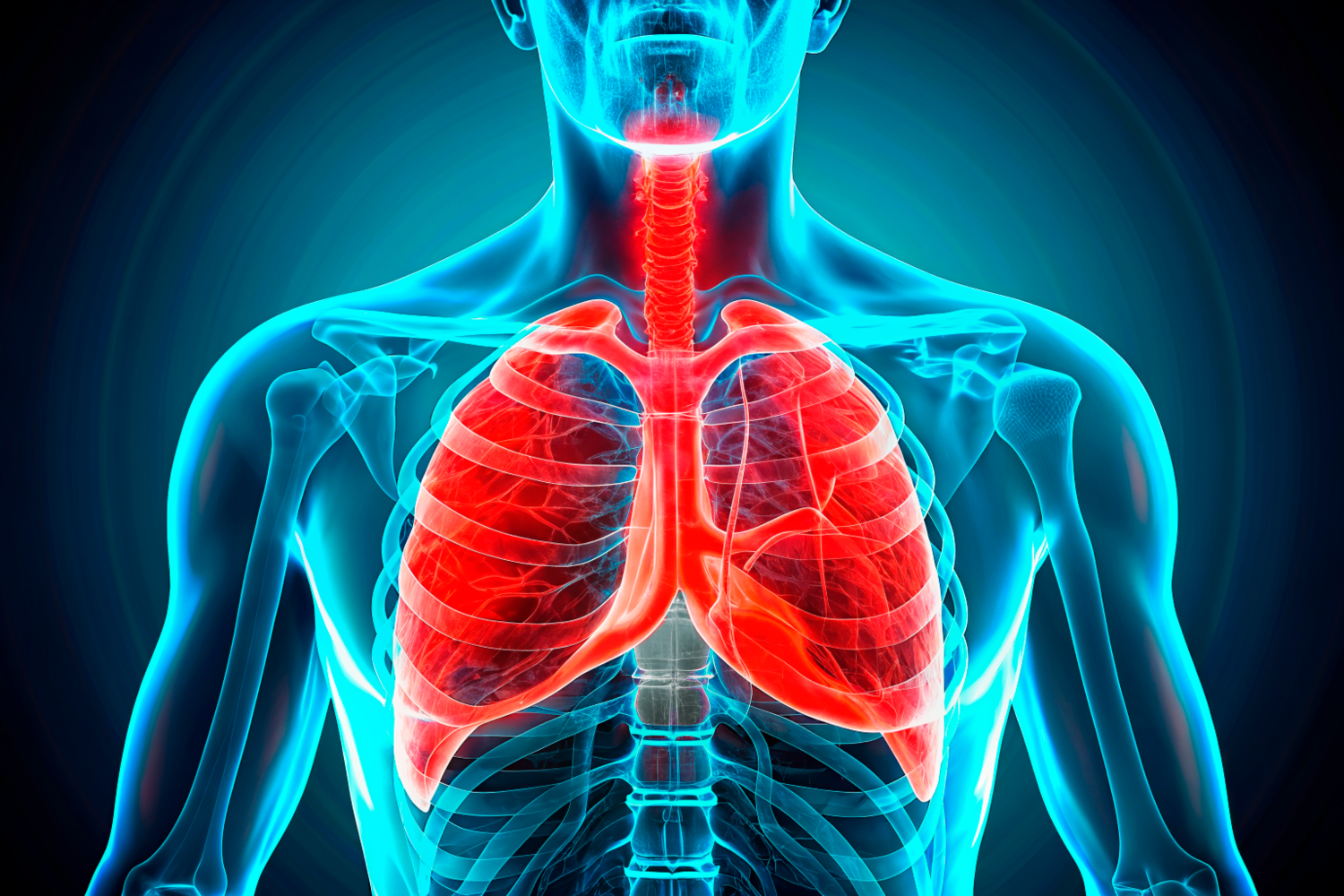 <span style="font-weight: bold;">Бронхоскопия</span>